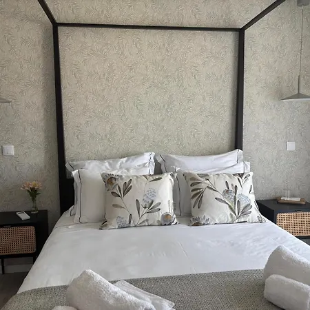 Apartament Casa Eiras, Em Cinfaes, No Douro