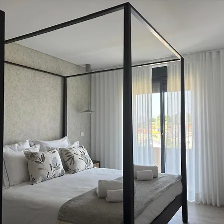 Casa Eiras, Em Cinfaes, No Douro 公寓 *
